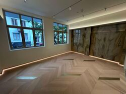 Lex Loci (D1), Shop House #531214051